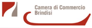 Collegamento a Camera di commercio di Brindisi